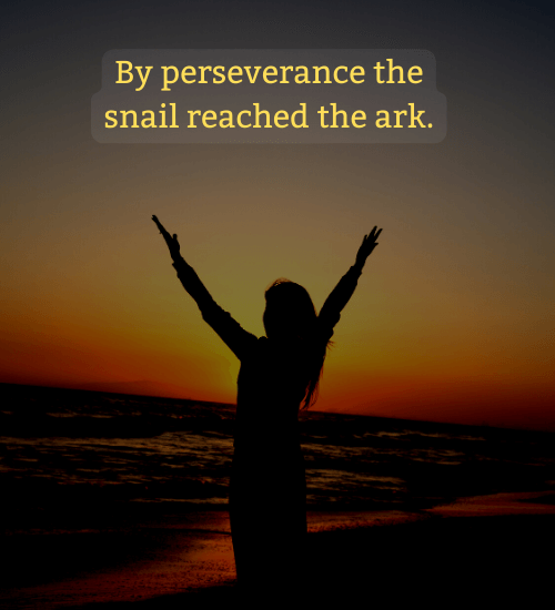 By perseverance the snail reached the ark. - Quotes about determination