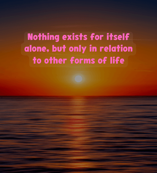 Nothing exists for itself alone, but only in relation to other forms of life