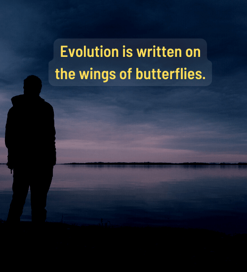 Evolution is written on the wings of butterflies. - Charles Darwin quotes