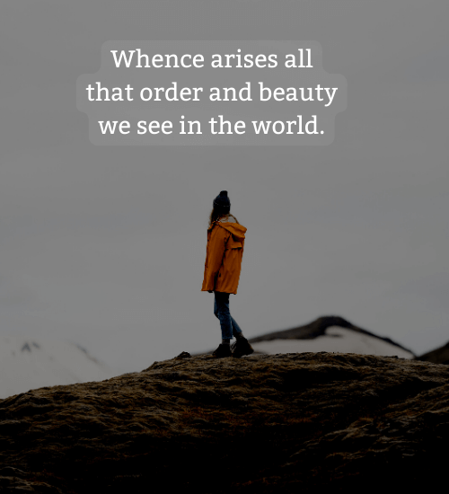 Whence arises all that order and beauty we see in the world. - isaac newton quotes