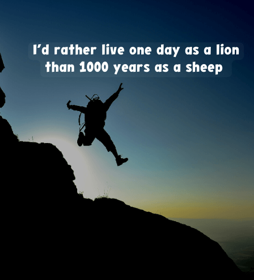 I’d rather live one day as a lion than 1000 years as a sheep