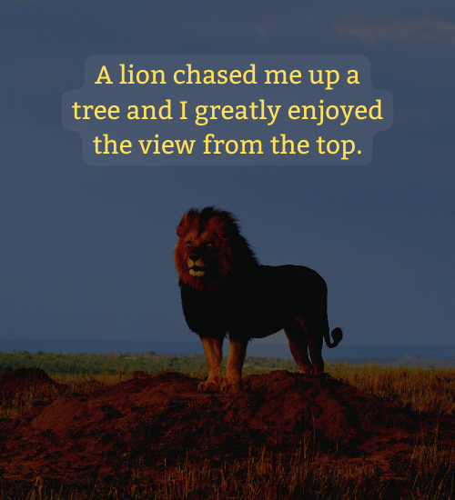 A lion chased me up a tree and I greatly enjoyed the view from the top.