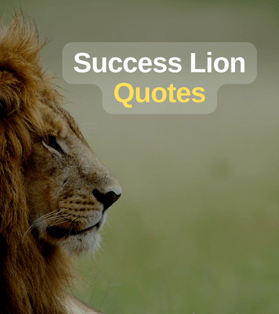success lion quotes