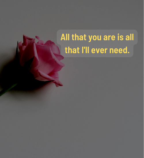 All that you are is all that I'll ever need. - valentine's day quotes