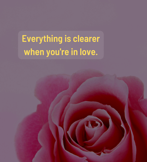 Everything is clearer when you're in love. - valentine's day quotes