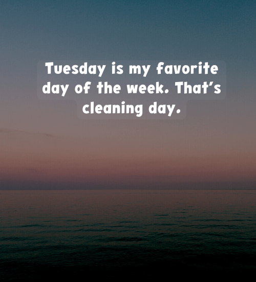 Tuesday is my favorite day of the week. That’s cleaning day.