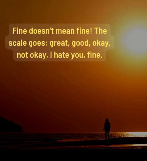 Fine doesn't mean fine! The scale goes: great, good, okay, not okay, I hate you, fine.