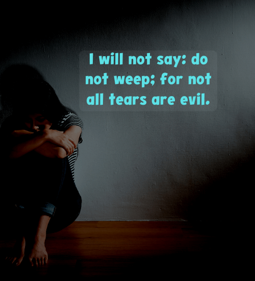 I will not say: do not weep; for not all tears are evil. - mother grieving loss of son quotes