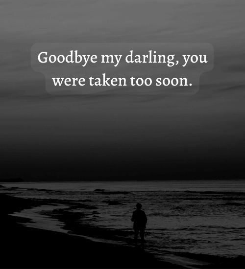Goodbye my darling, you were taken too soon. - mother grieving loss of son quotes