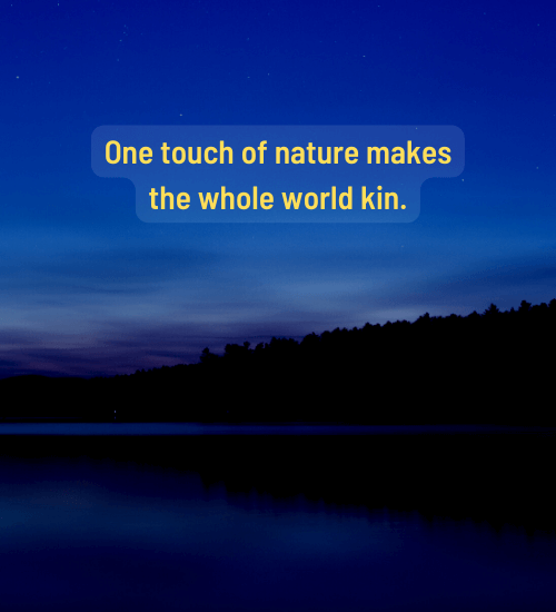 One touch of nature makes the whole world kin. - wildlife quotes