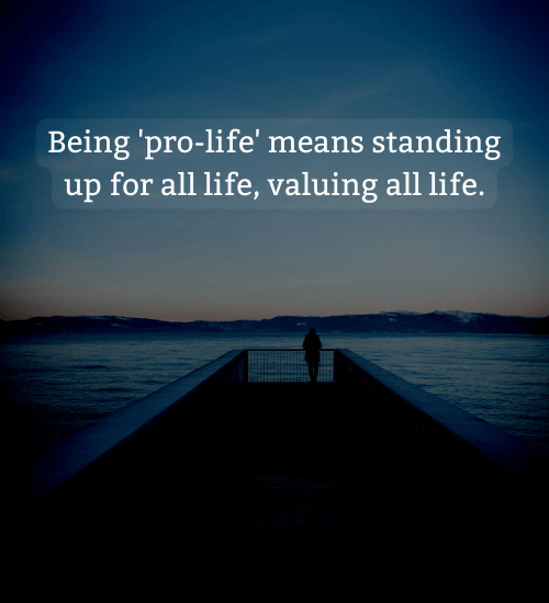 Being 'pro-life' means standing up for all life, valuing all life. - pro life quotes