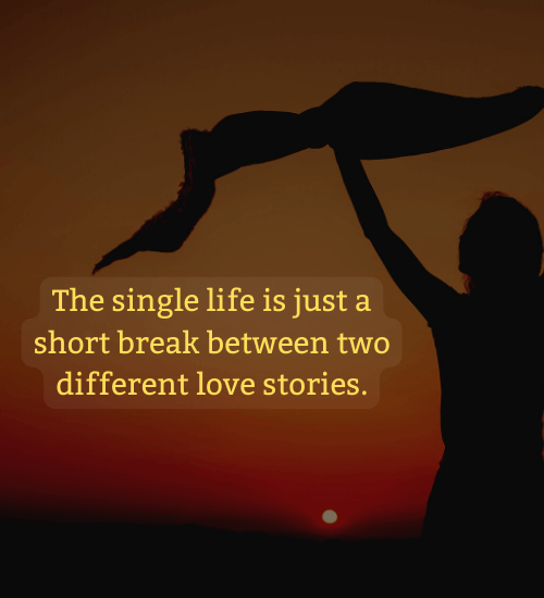 The single life is just a short break between two different love stories.