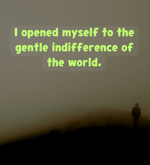 I opened myself to the gentle indifference of the world.