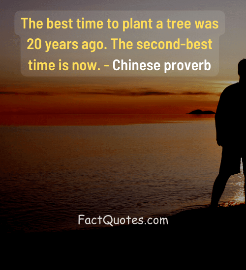The best time to plant a tree was 20 years ago. The second-best time is now. - Chinese proverb