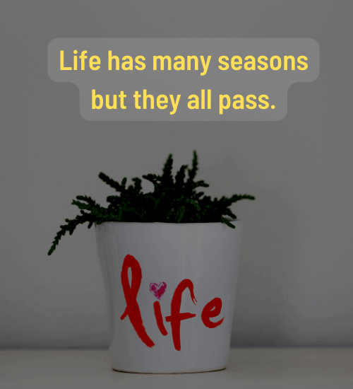 Life has many seasons but they all pass.